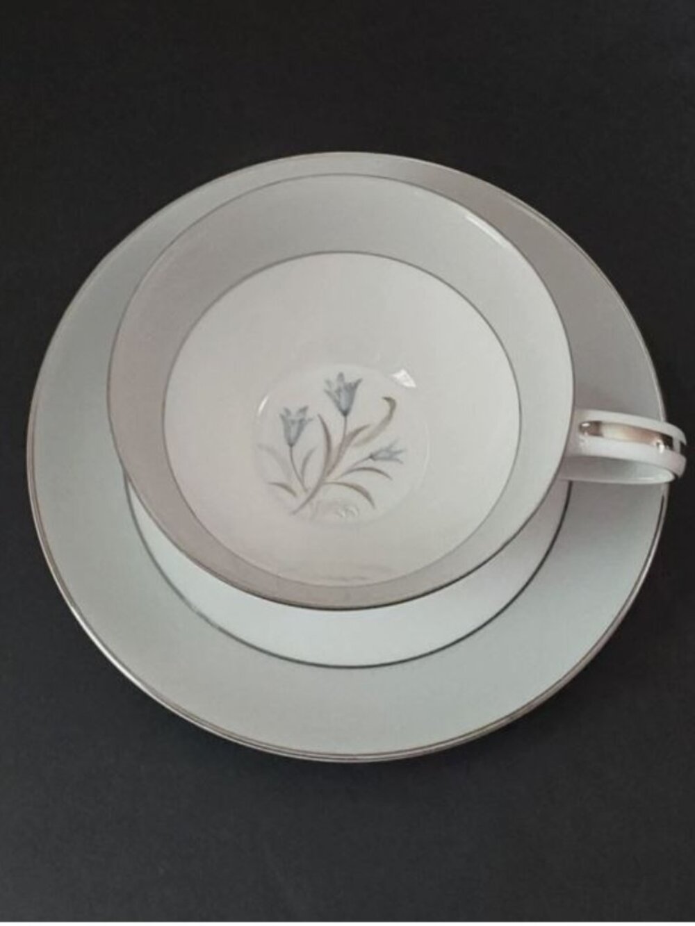NORITAKI 5545 Tea Cup and Saucer RARE